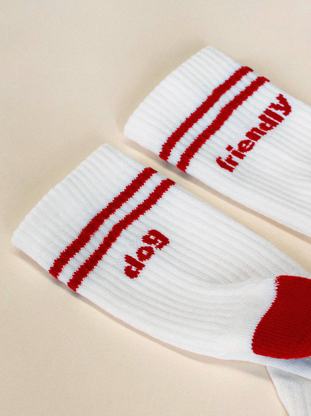 Dog Friendly Socks | L