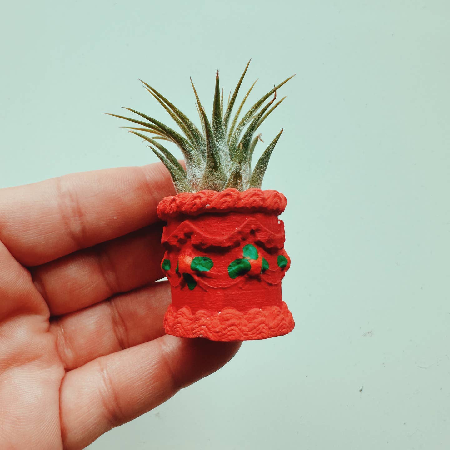 Red Birthday Cake Mini Planter with Air Plant