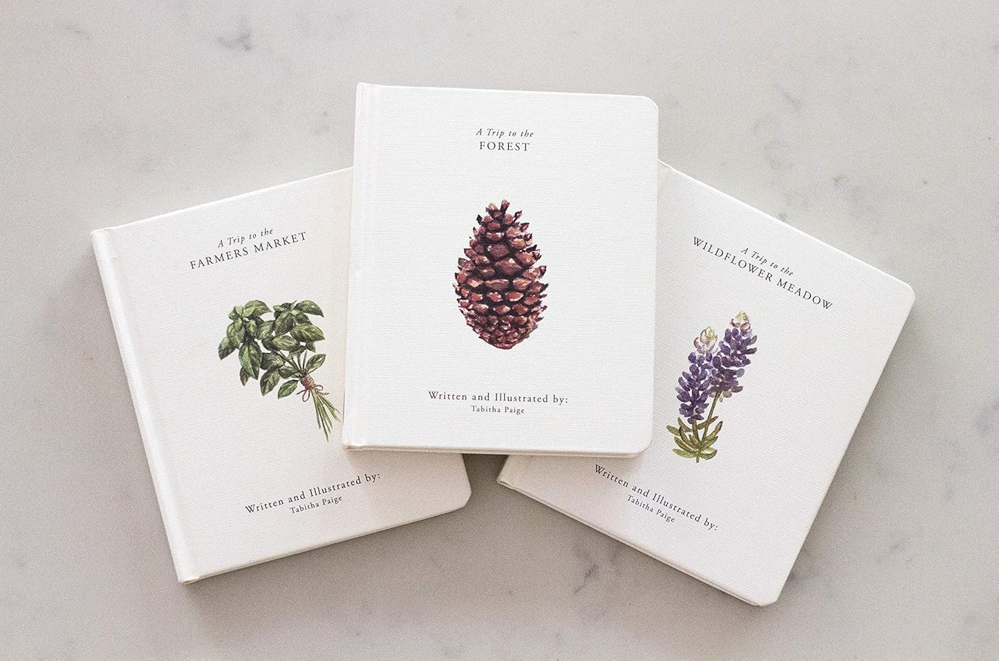 Our Little Adventures