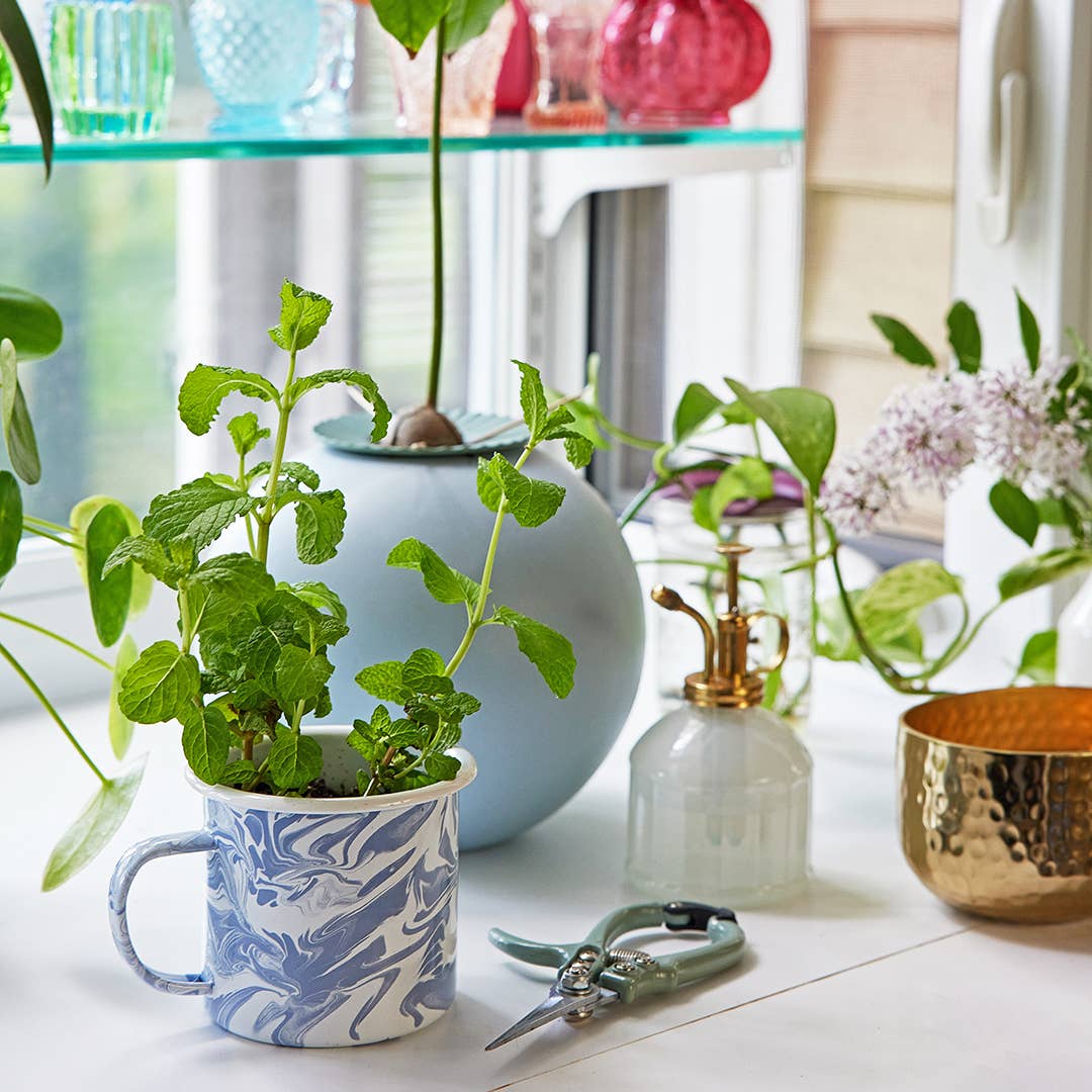 Altered Herbs Mug Grow Kit | Sorta Soothing Mint