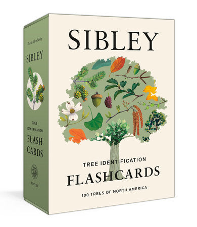 Tree Identification Flashcards