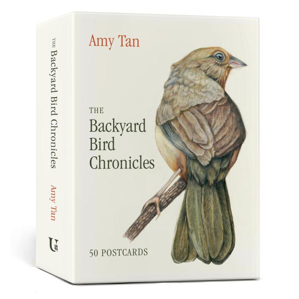 The Backyard Bird Chronicles: 50 postcards