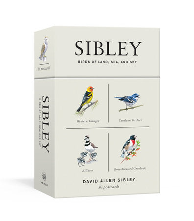 Birds of Land, Sea, and Sky Postcards