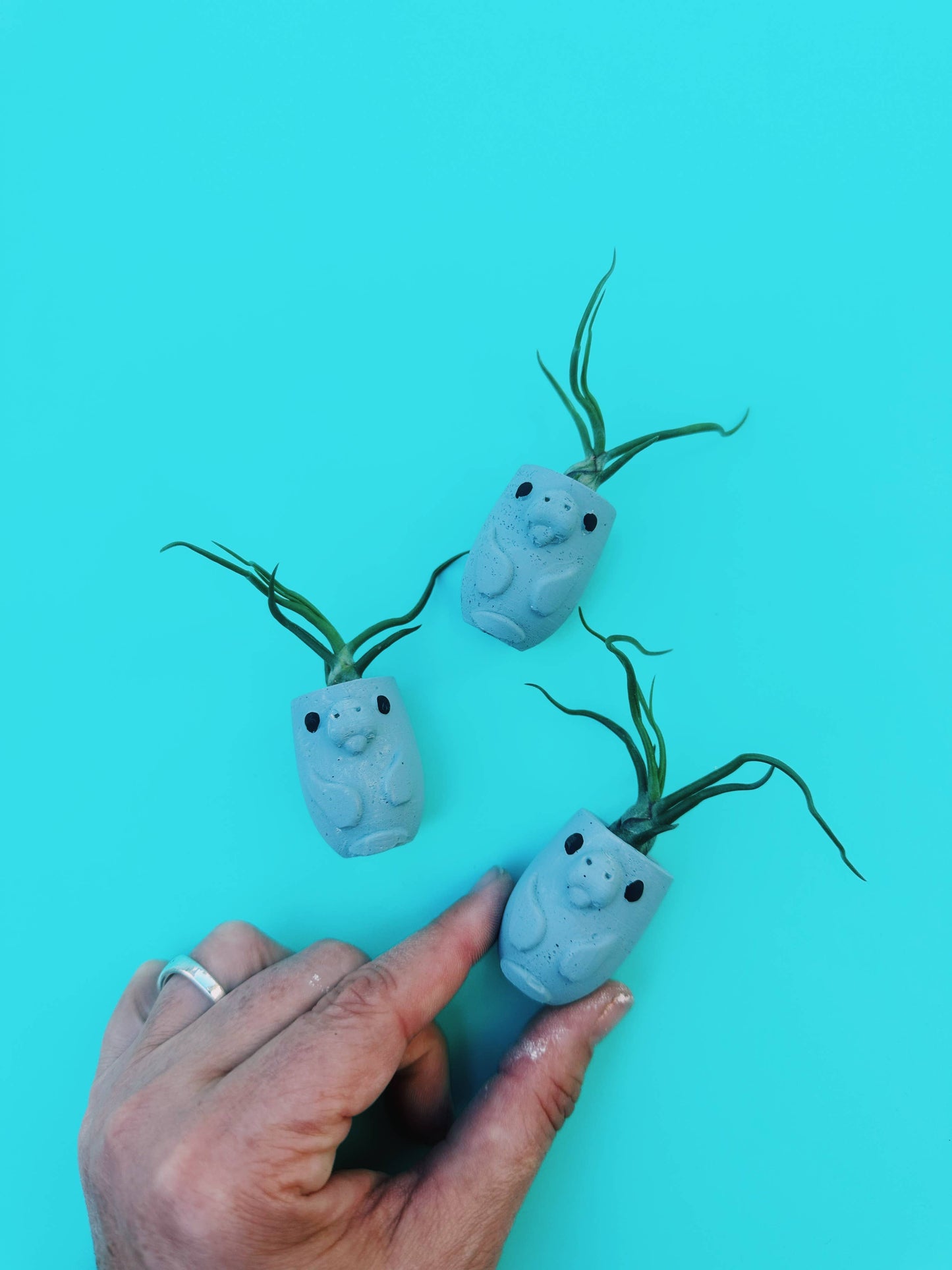 Manatee Mini Planter with Air Plant