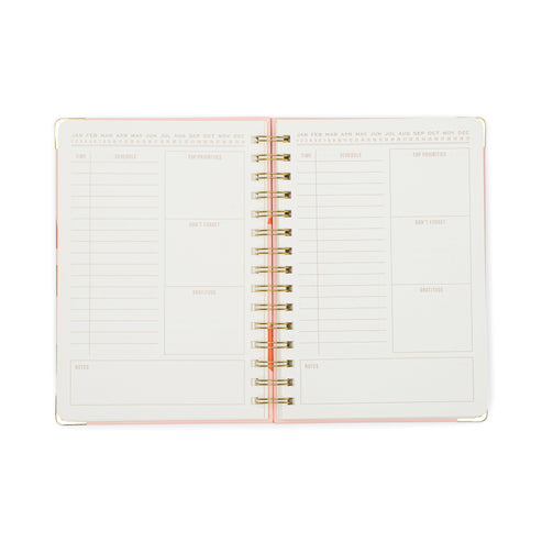 13 Mo Undated Perpetual Planner | Plans