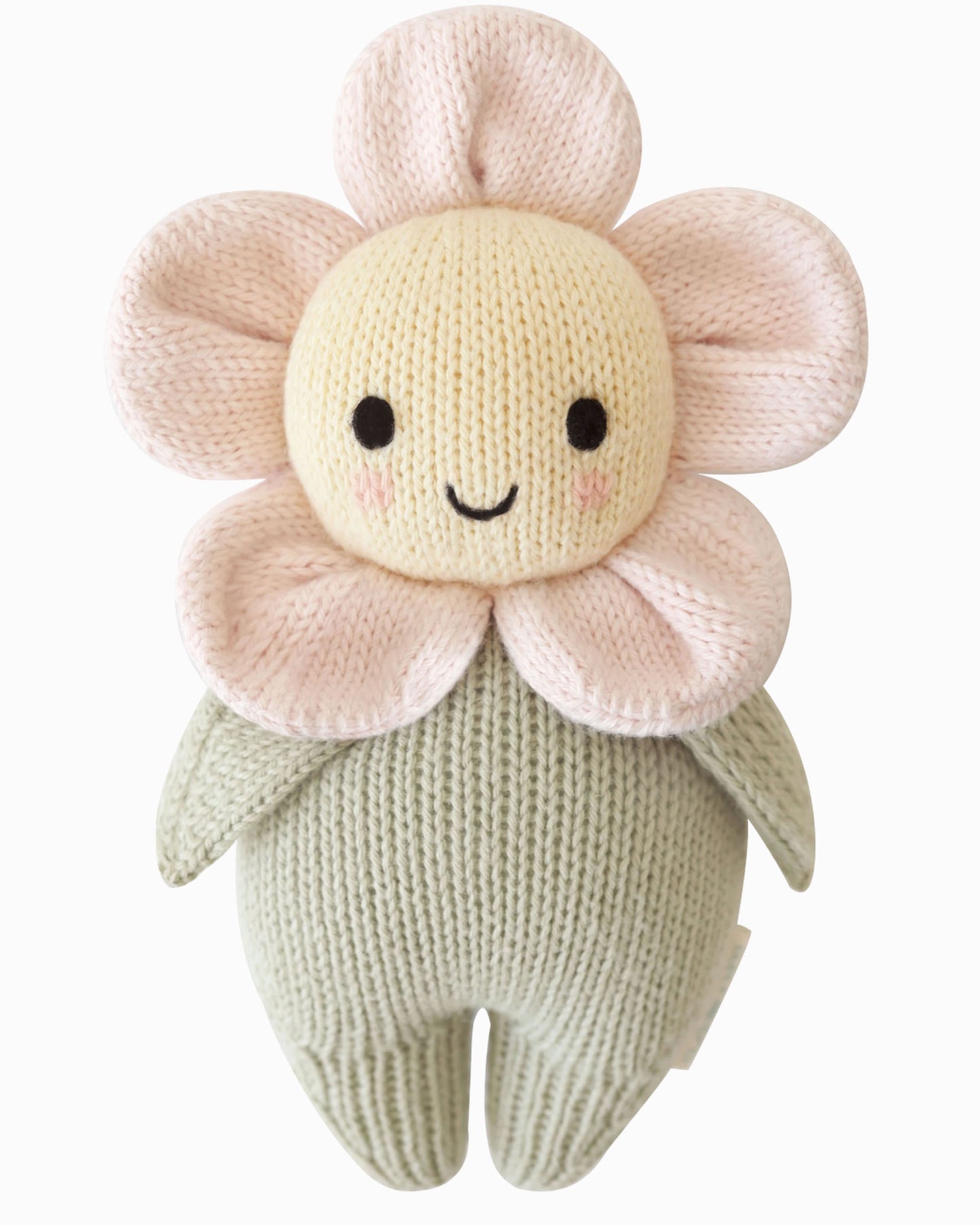 Baby Daisy | Blush Pink