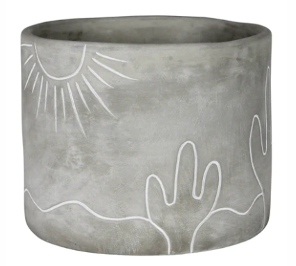 Cement Desert Pot w Plant
