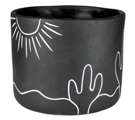 Black Desert Pot w Plant