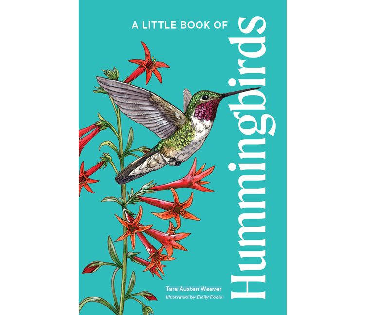 A Little Books of Hummingbirds