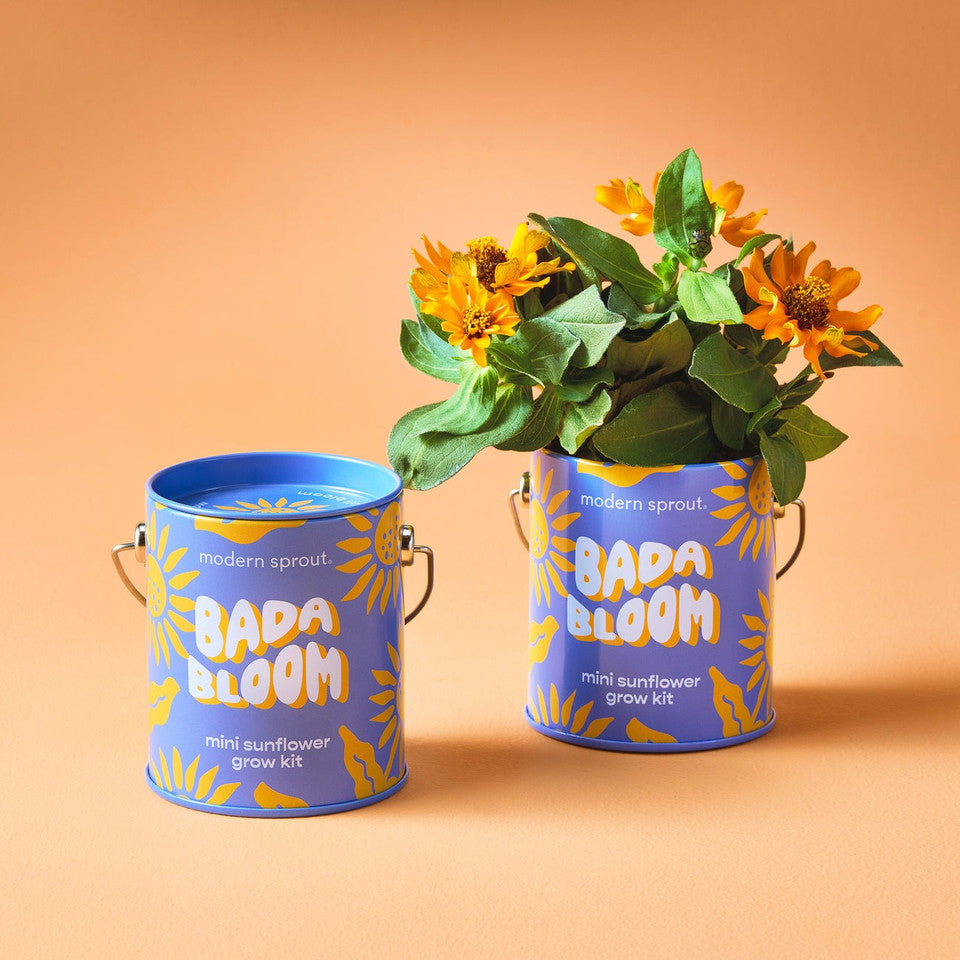 Color Grow Kits | Bada Bloom