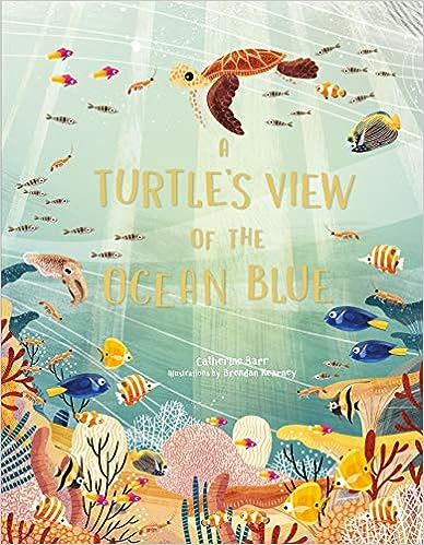 A Turtle's View of The Ocean Blue