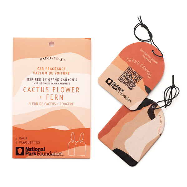 Parks Car Fragrance 2 Pack Grand Canyon Cactus Flower and Fern