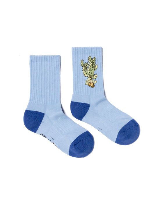 Looney Tunes x Parks Project Trail Sock