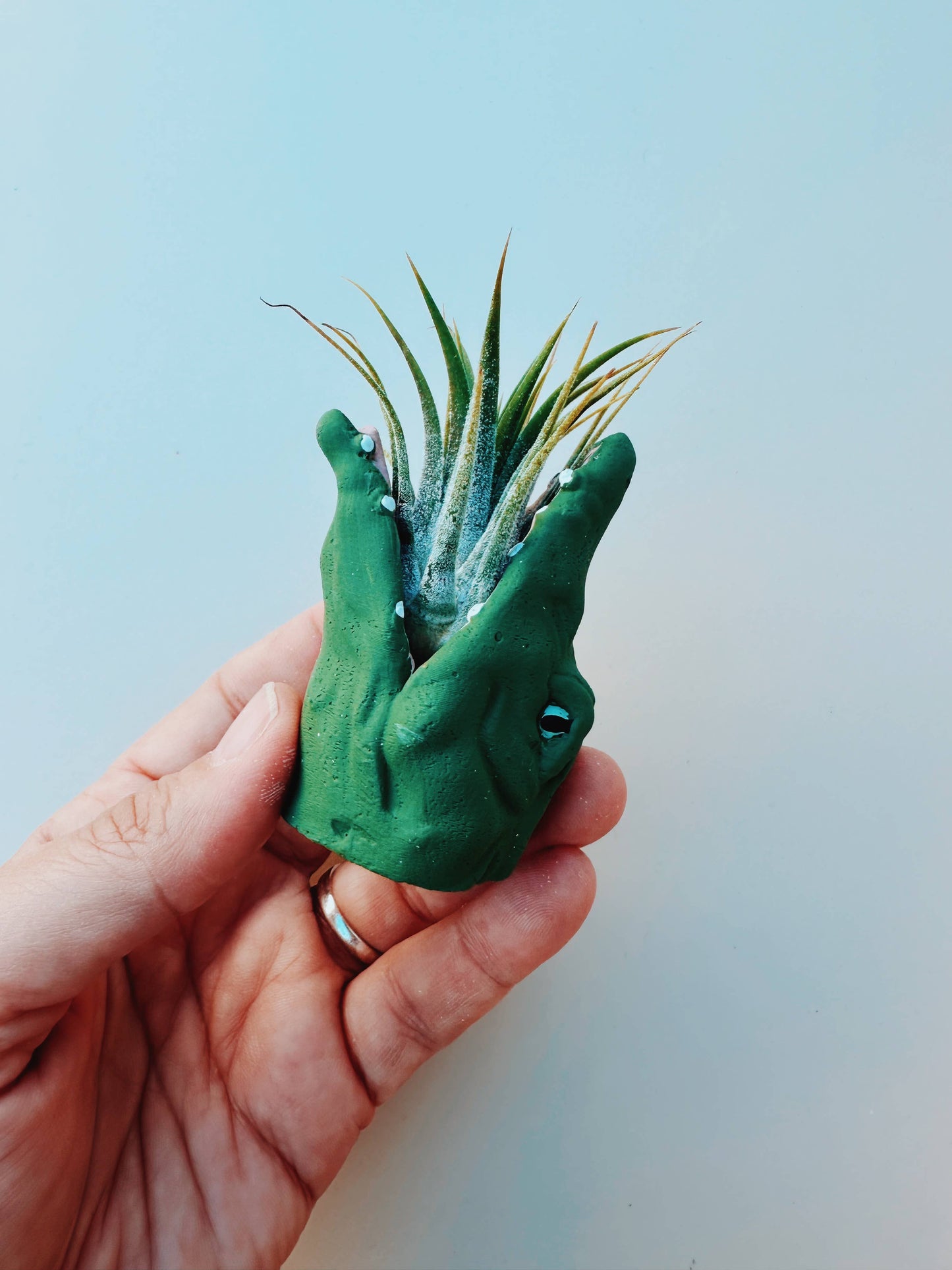 Mini Gator Plant Pot with Air Plant