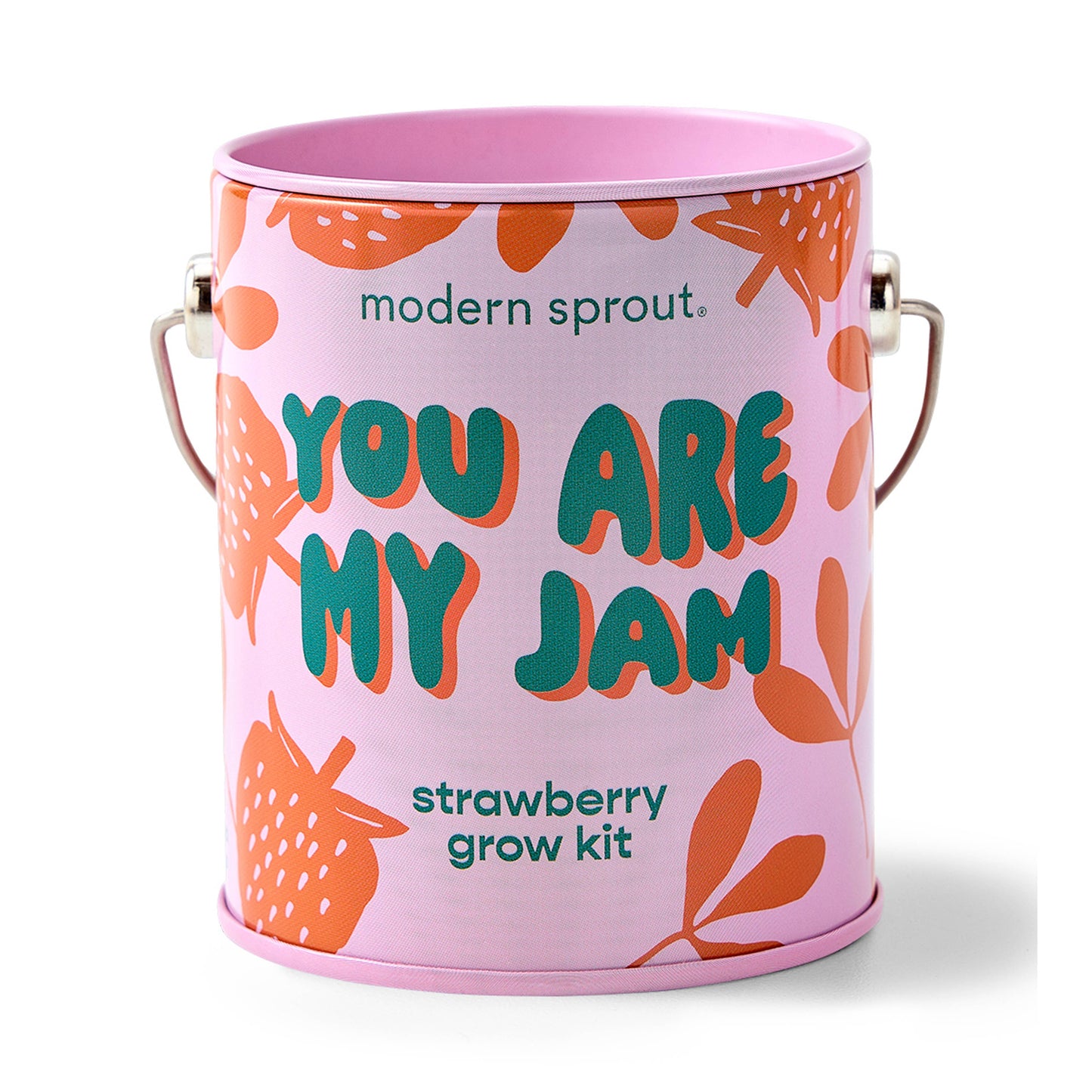 Color Grow Kits | You are My Jam