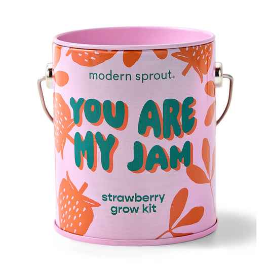 Color Grow Kits | You are My Jam