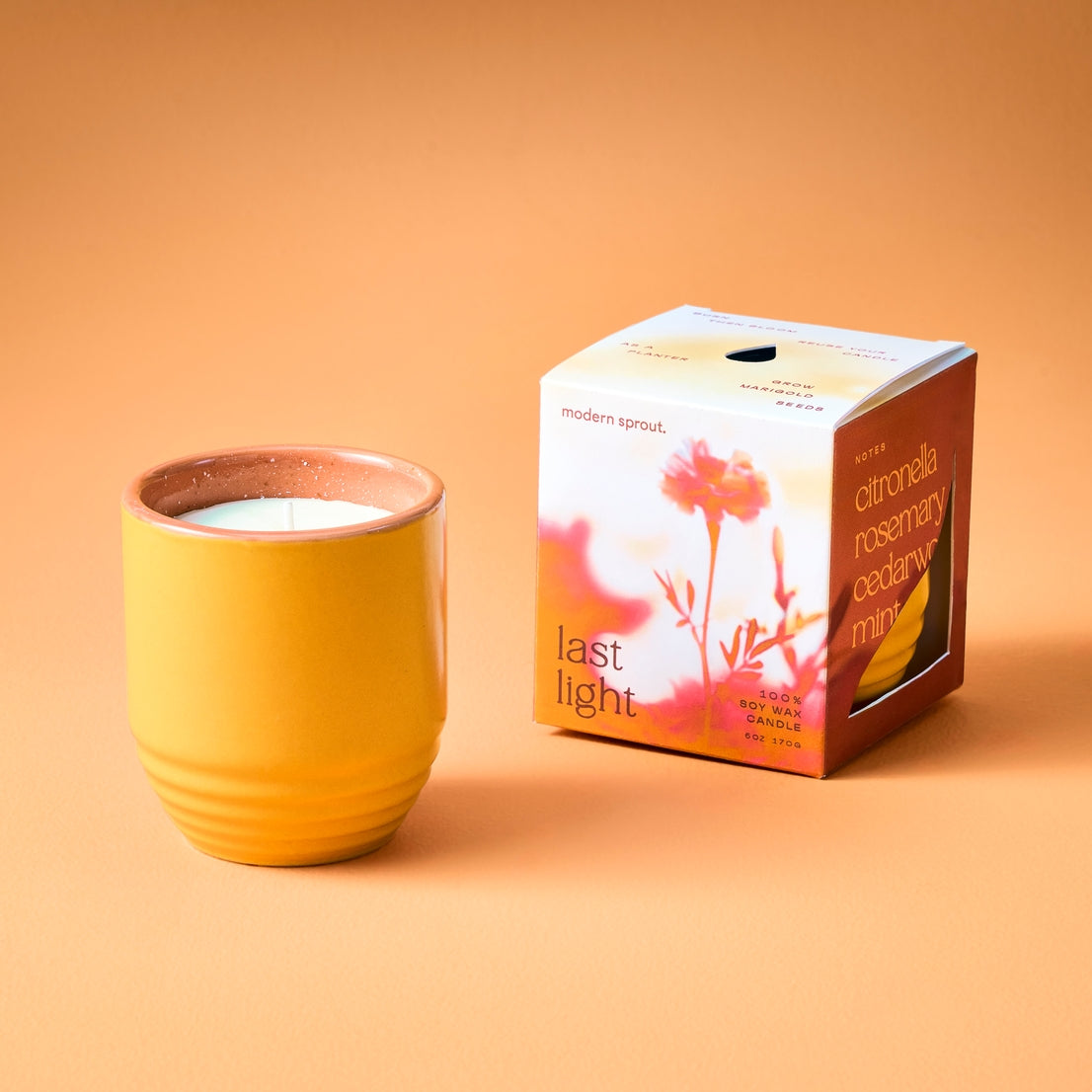 Garden Vibe Candles | Last Light