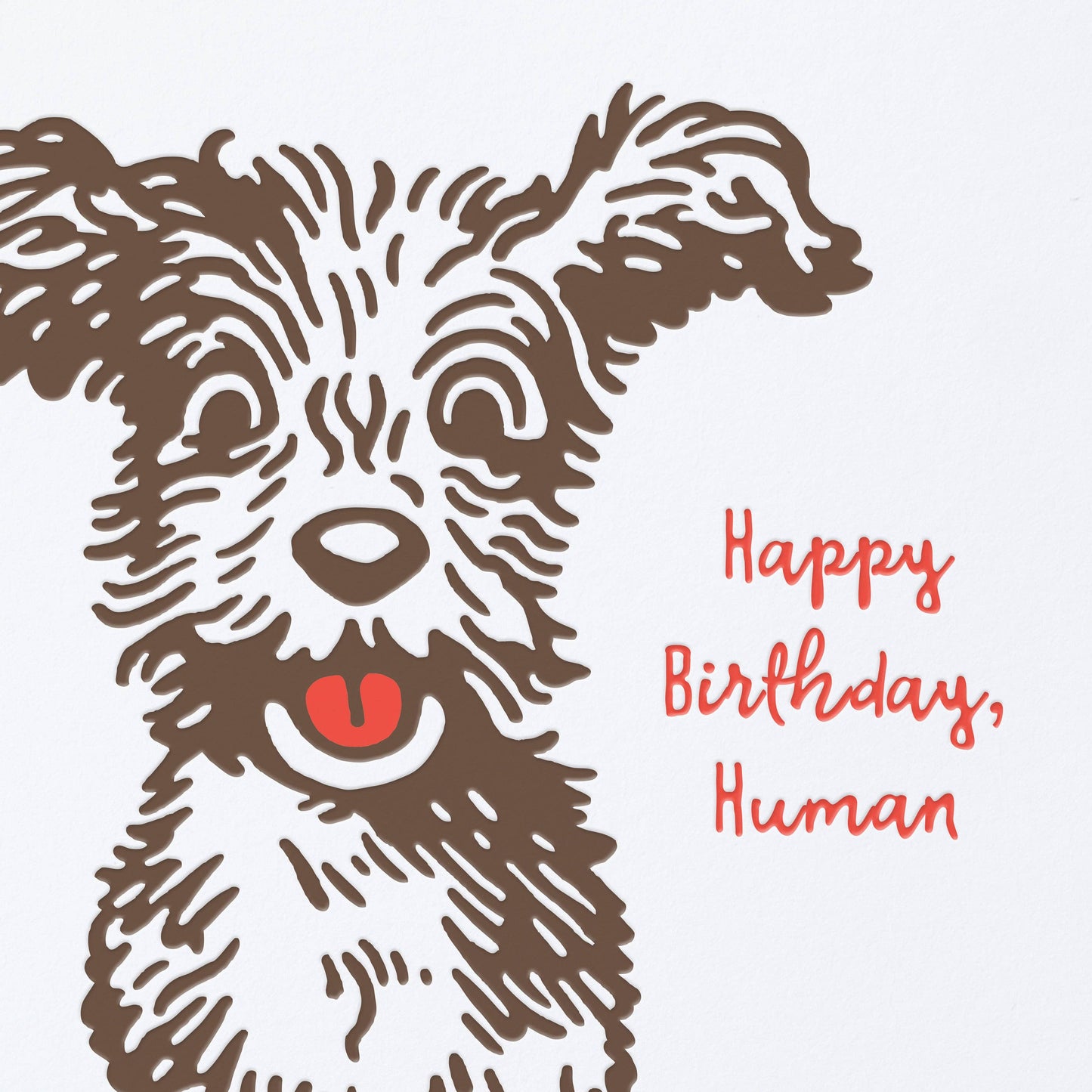 Birthday Doggie Card
