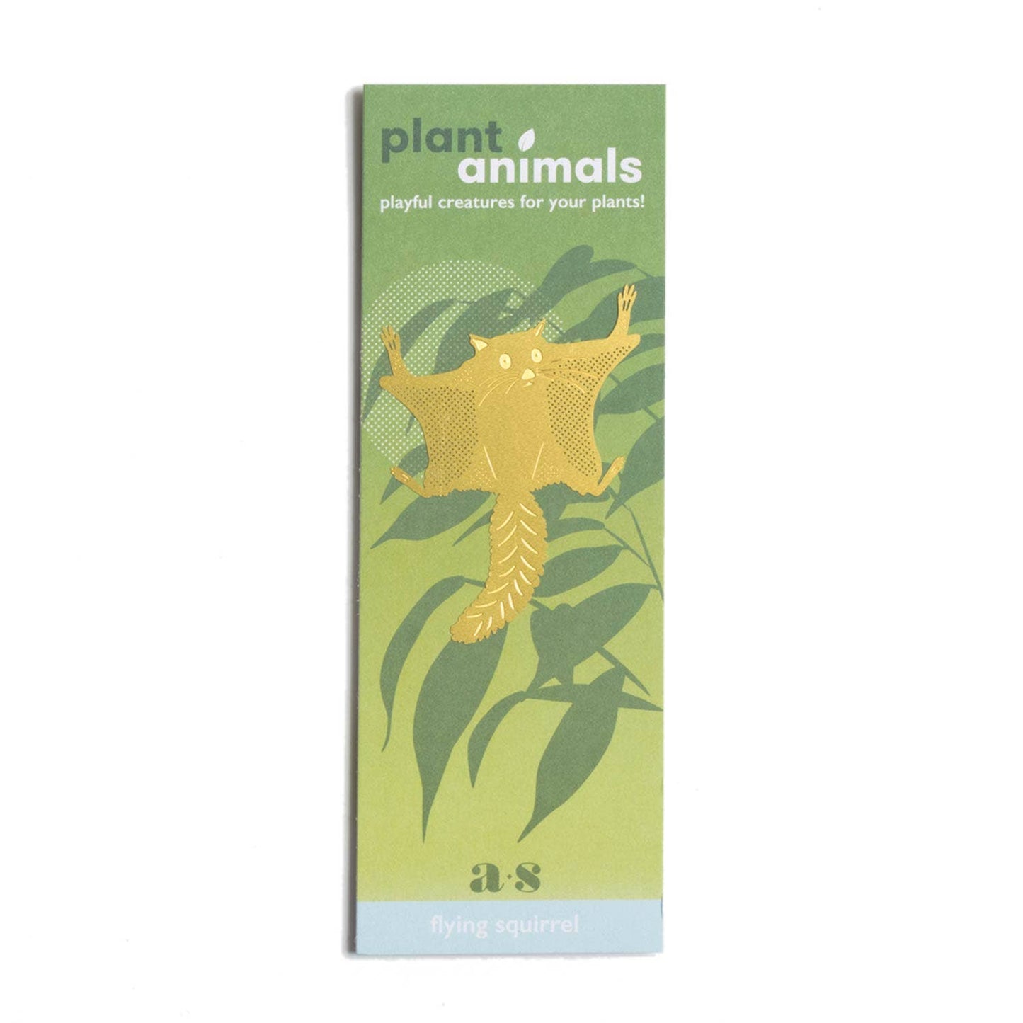 Plant Animal | Flying Squirrel