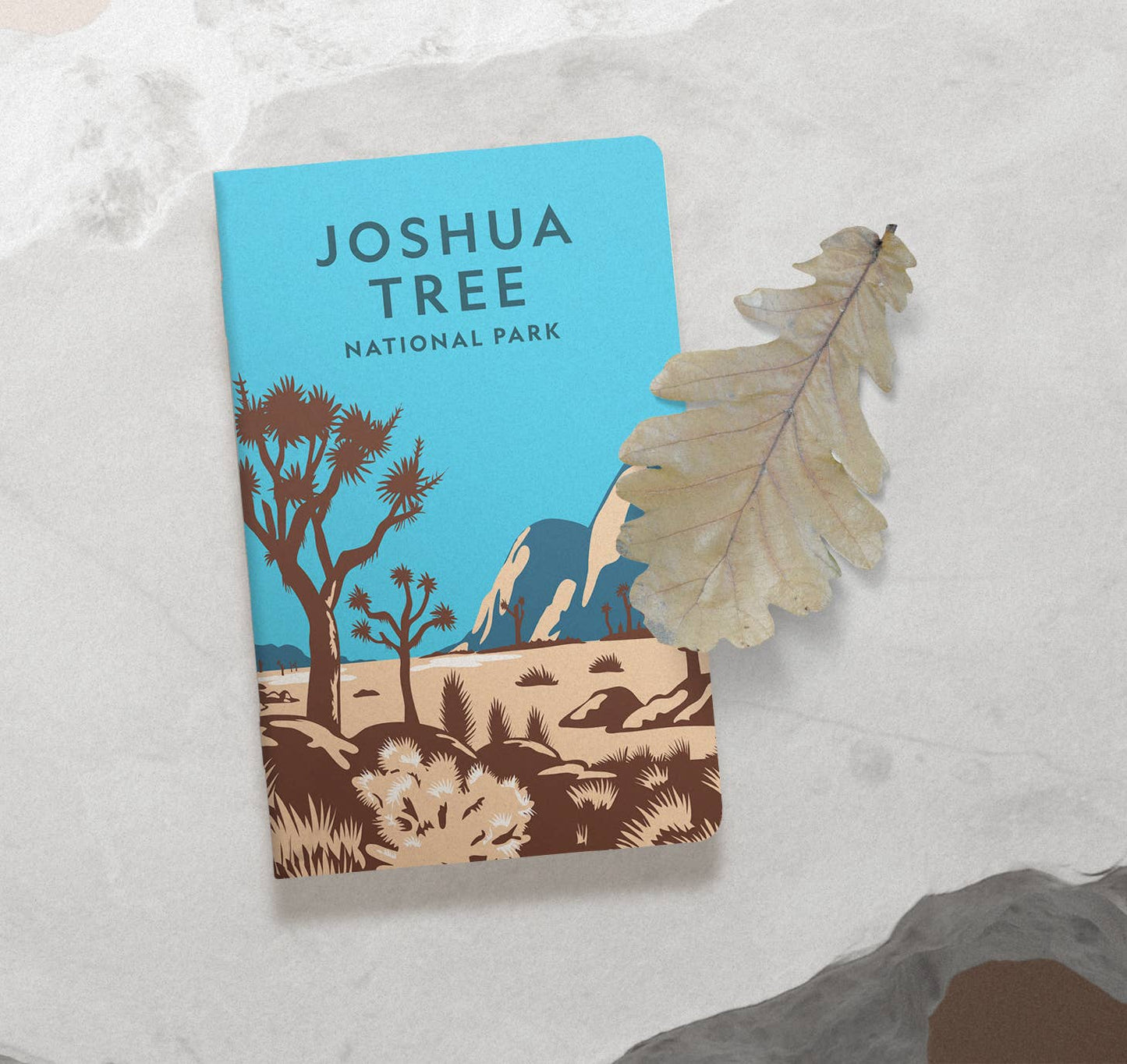 Joshua Tree National Park Notebook