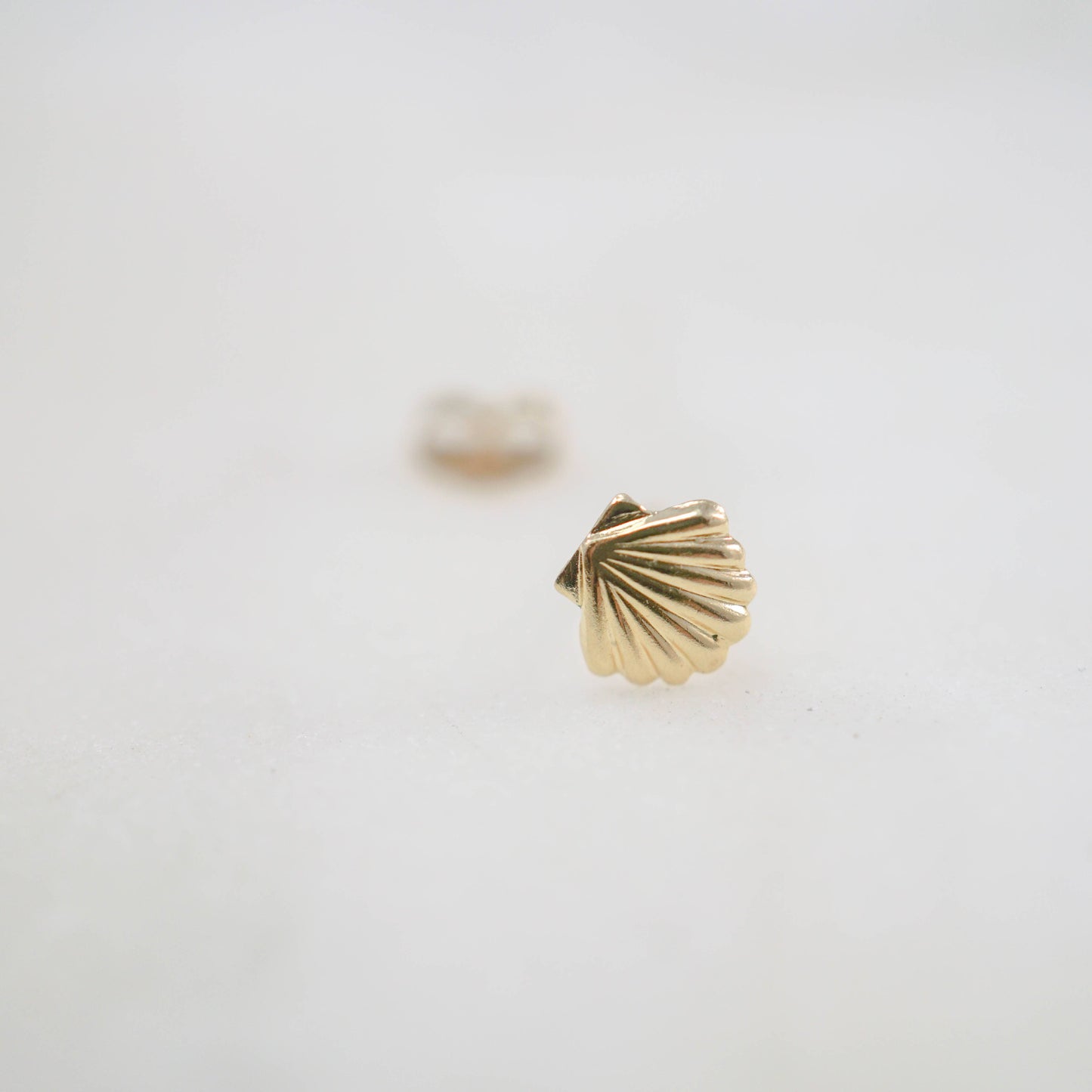 Sea Shell Stud