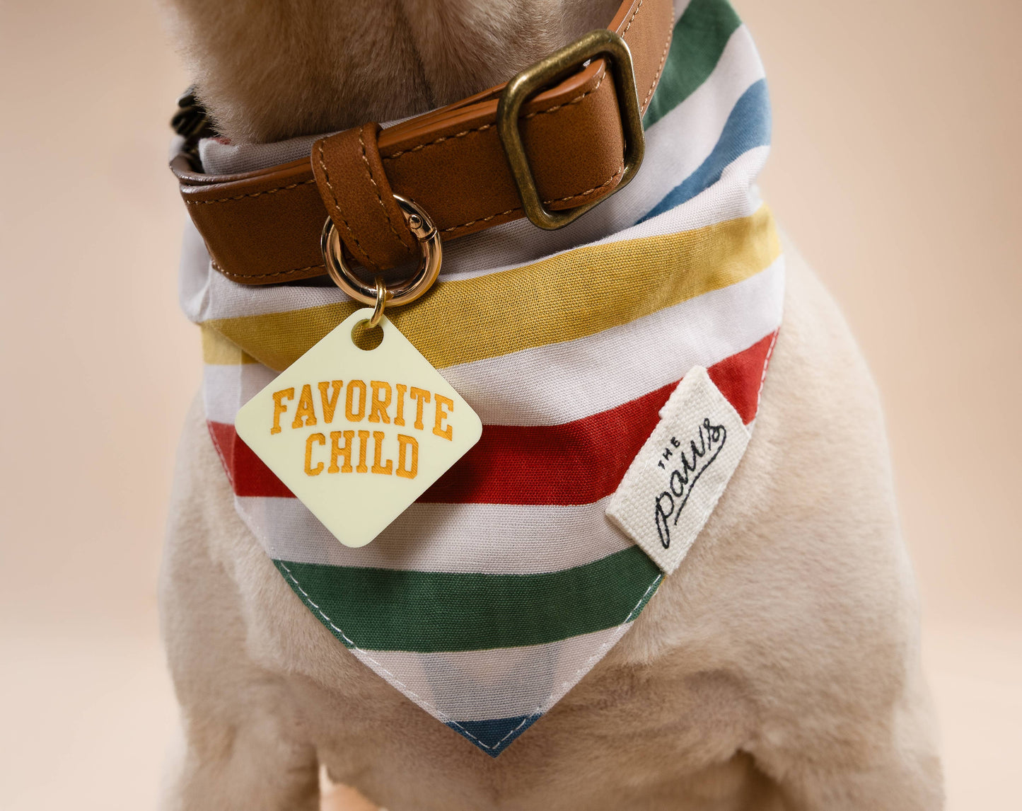 Frontier Dog Bandana: M