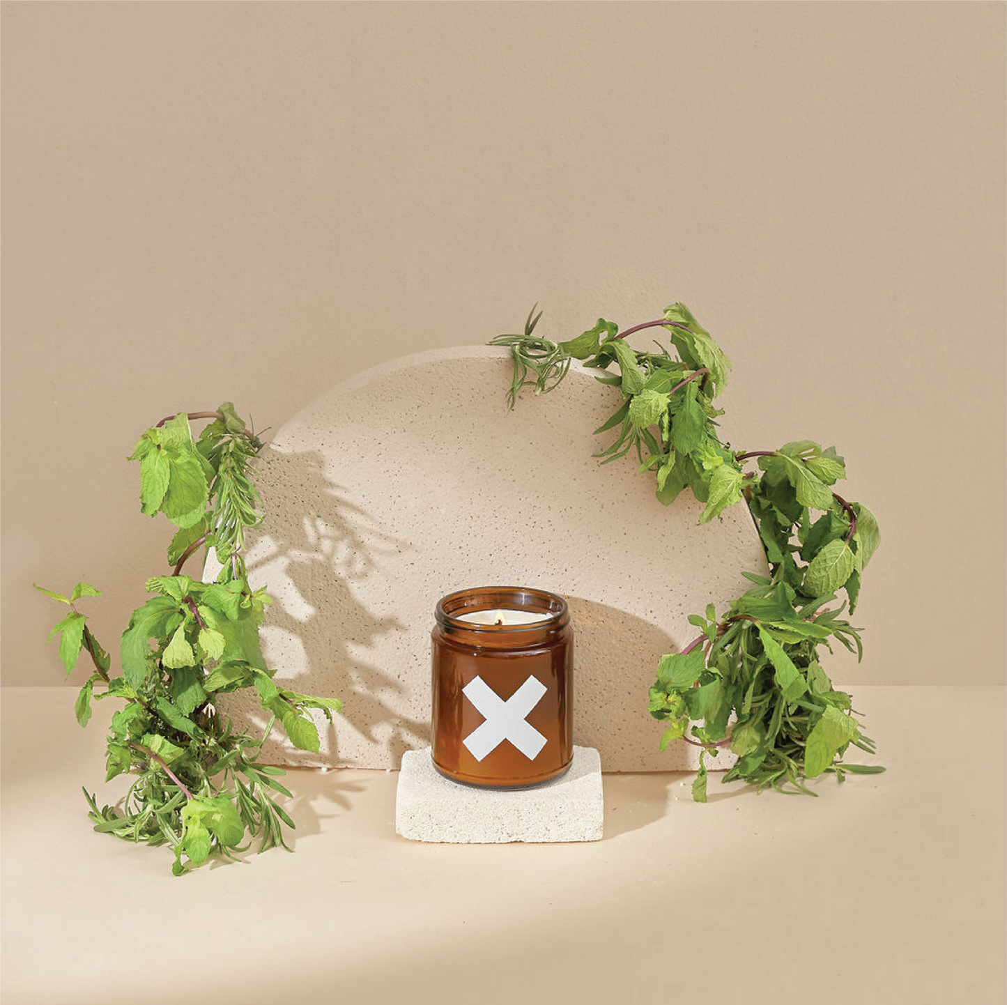 Eucalyptus | Pure Soy Candles: 9 oz.