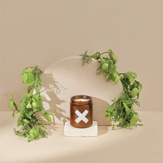 Eucalyptus | Pure Soy Candles: 9 oz.