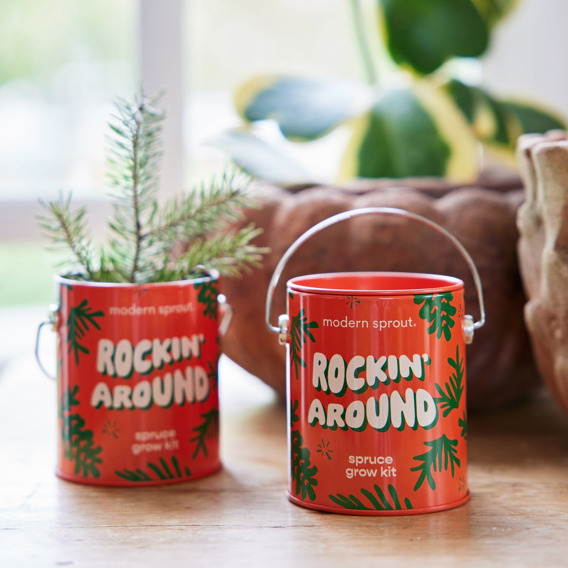 Color Grow Kits | Rockin' Around