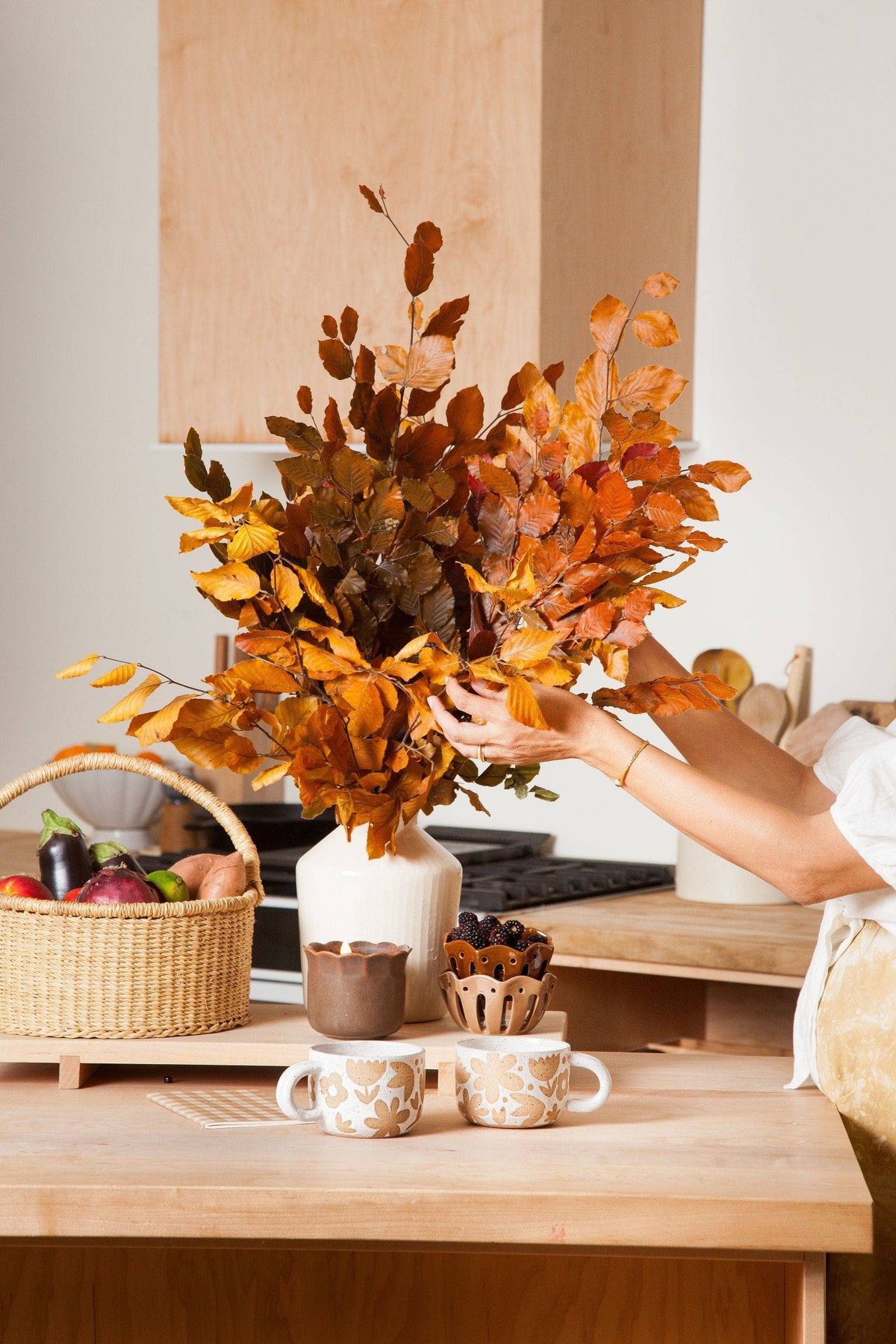 Preserved Copper Beech