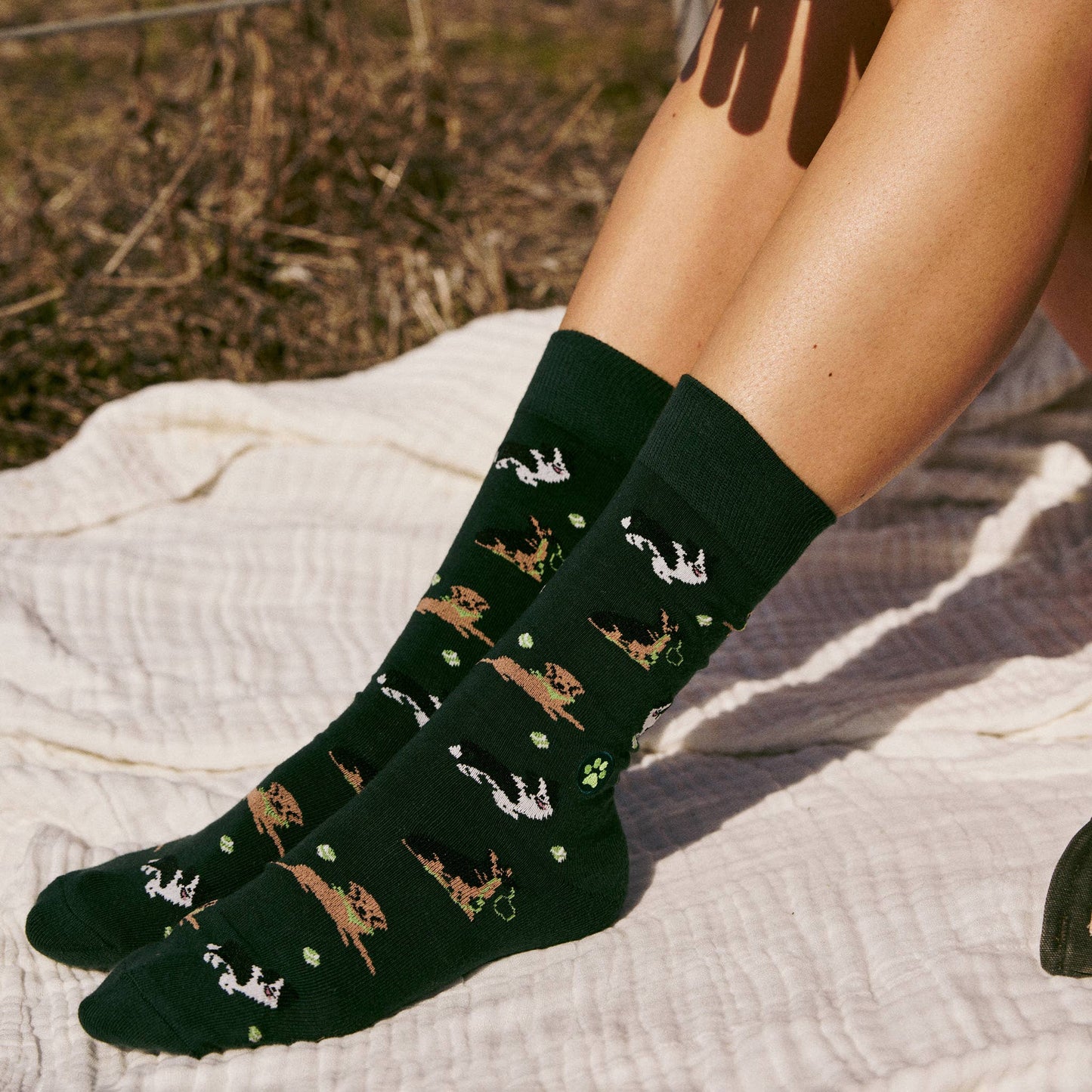 Socks that Save Dogs: Small