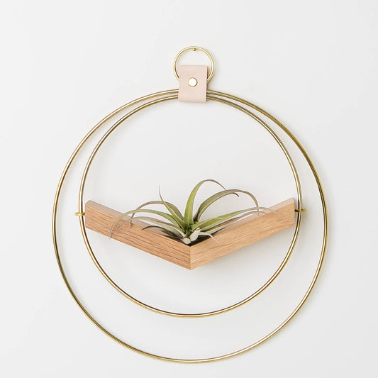 Small Gold V-Hanger Air Plant Holder