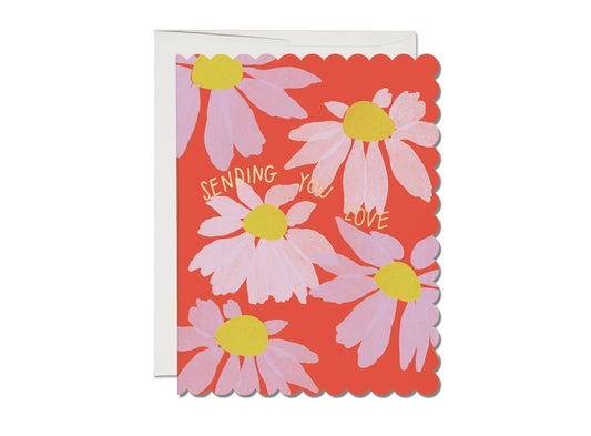 Scalloped Coneflower Sympathy Card