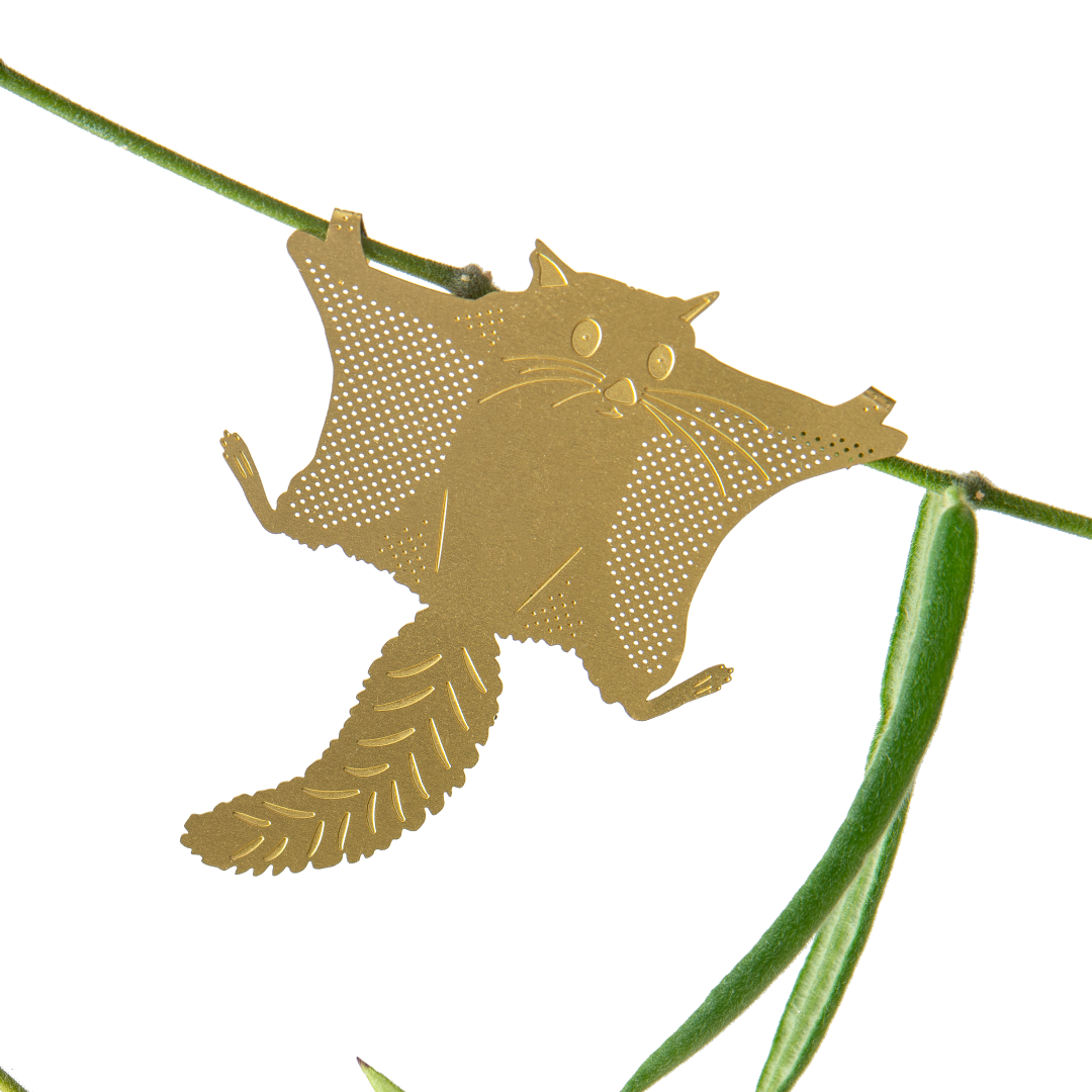 Plant Animal | Flying Squirrel