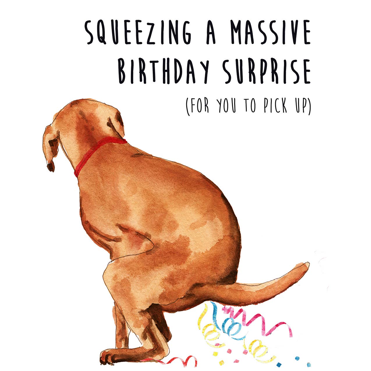 Naughty Dog Surprise Gift