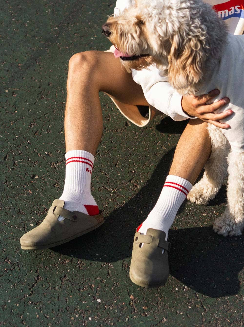 Dog Friendly Socks | L