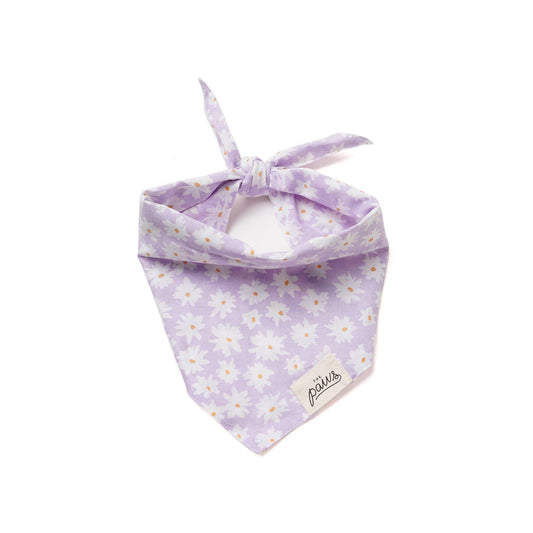 Belle Dog Bandana: XS