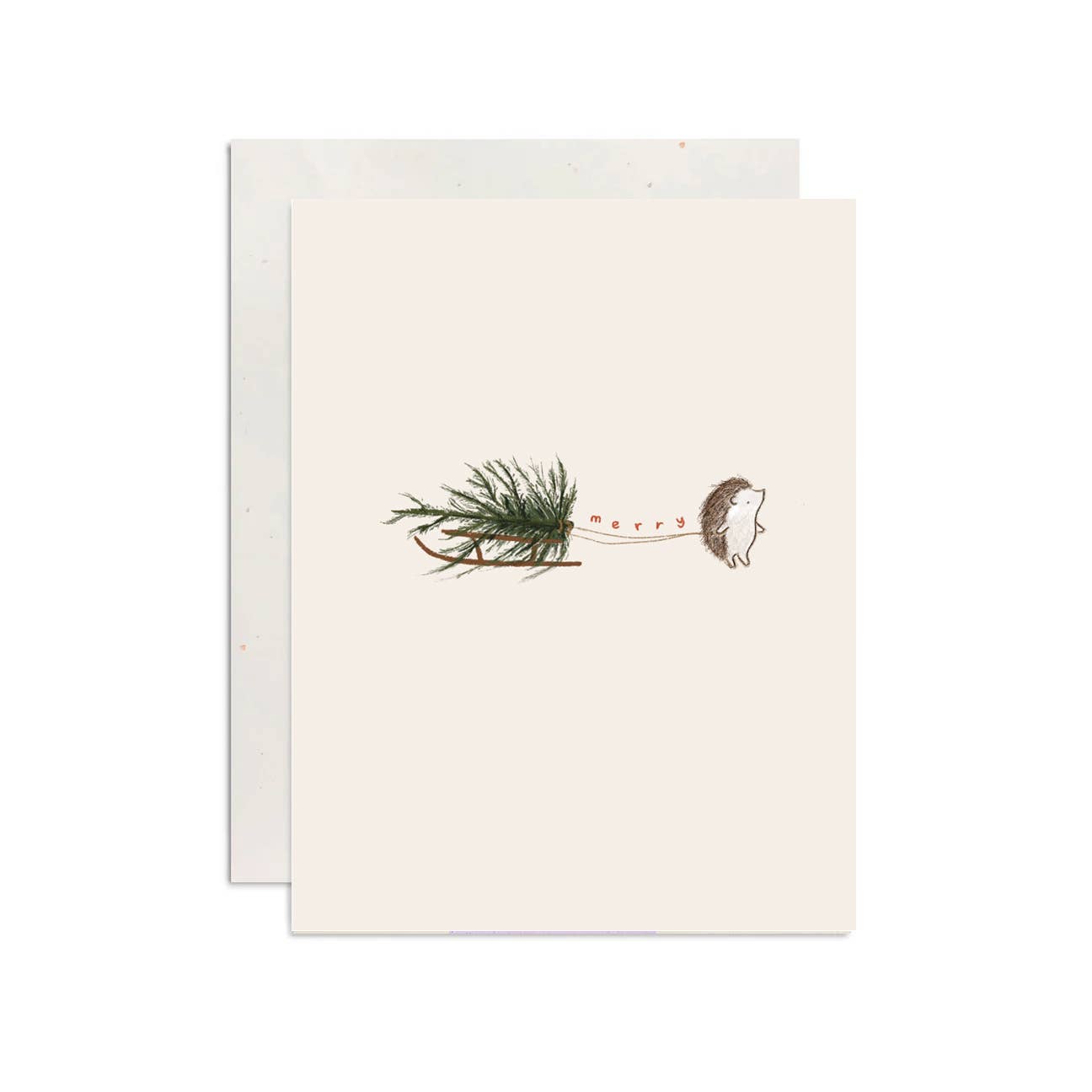 Merry Sled Holiday Card