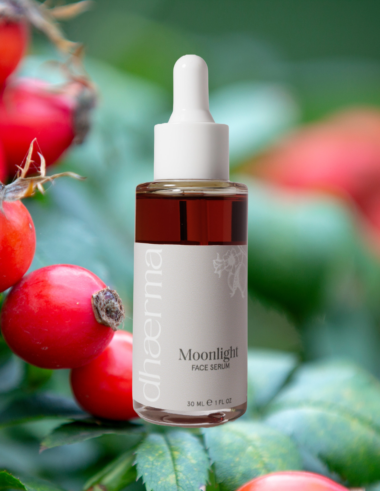 Moonlight | Face Oil: 15 ml