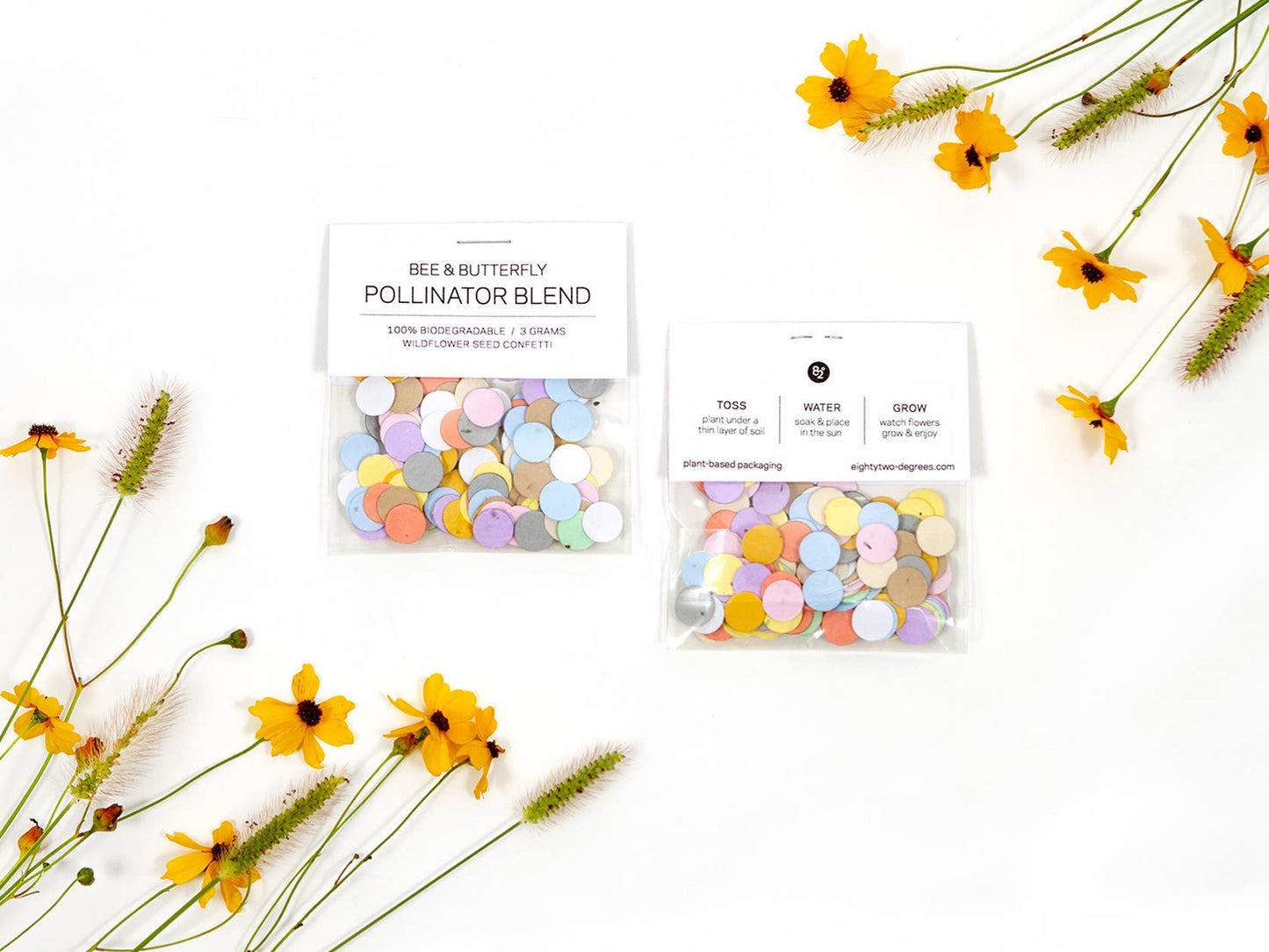 Wildflower Seed Confetti - Rainbow