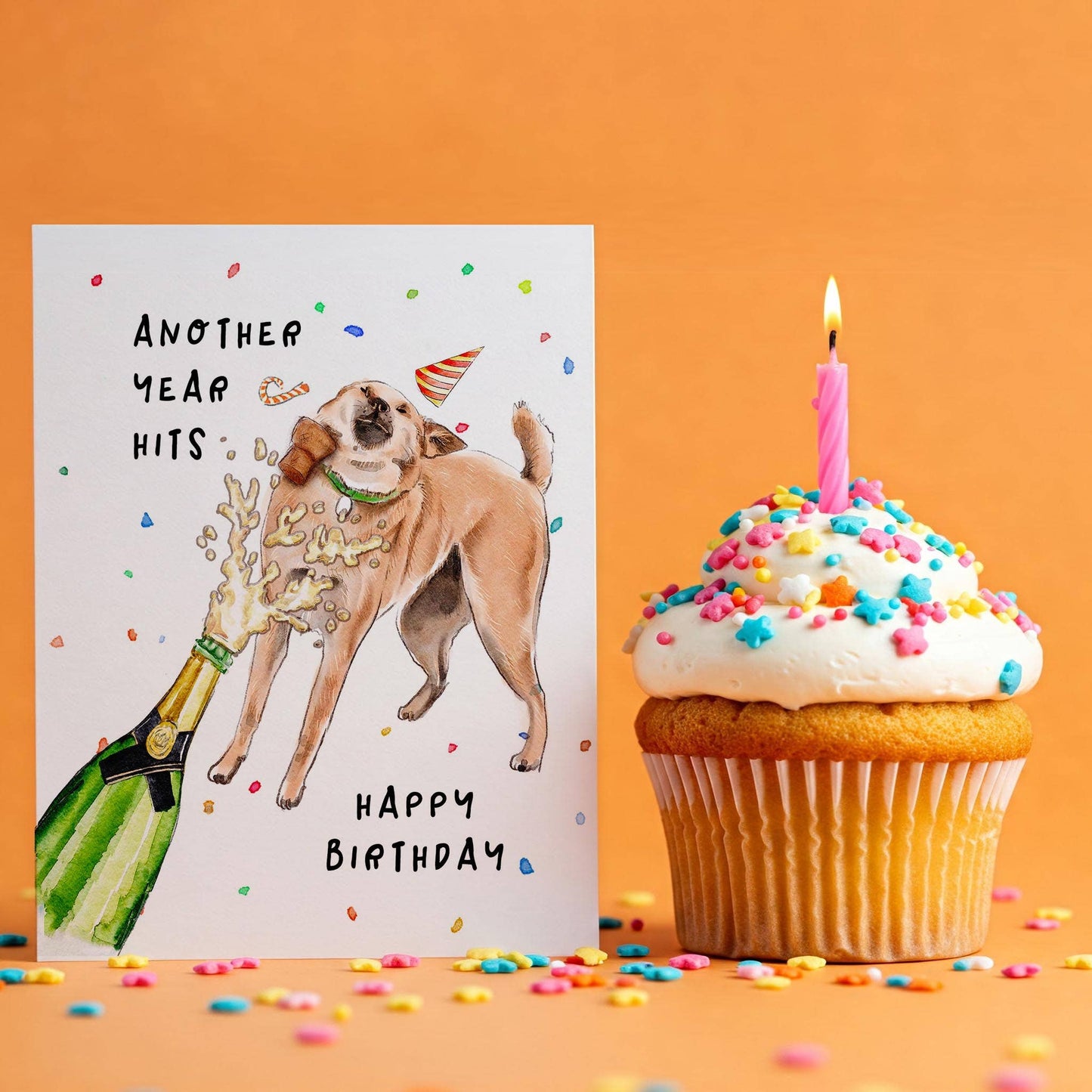 Another Year Hits Dog