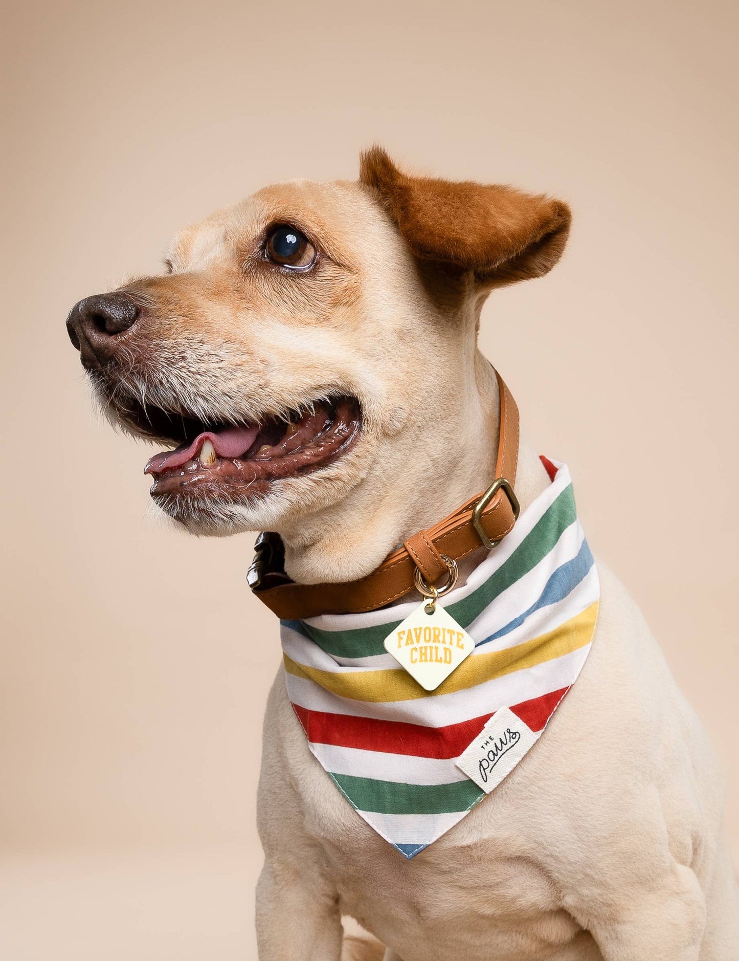 Frontier Dog Bandana: M