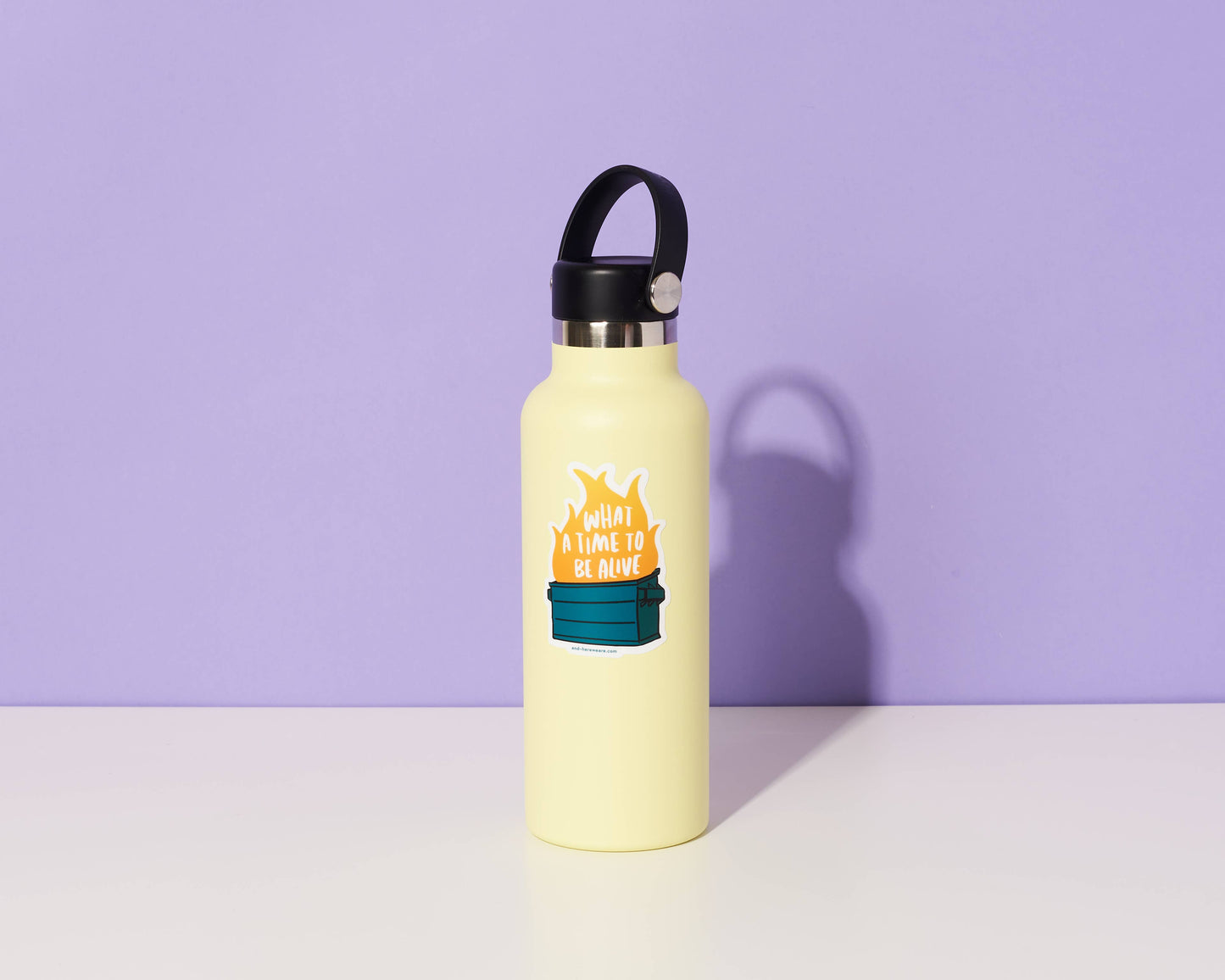 Vinyl Sticker | Dumpster Fire