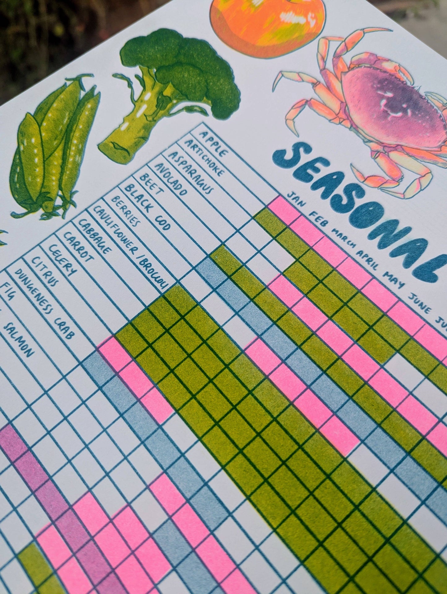 Seasonal Produce Guide |  11"x14" Risograph Print