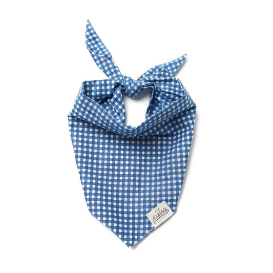 Blue Gingham Dog Bandana: L