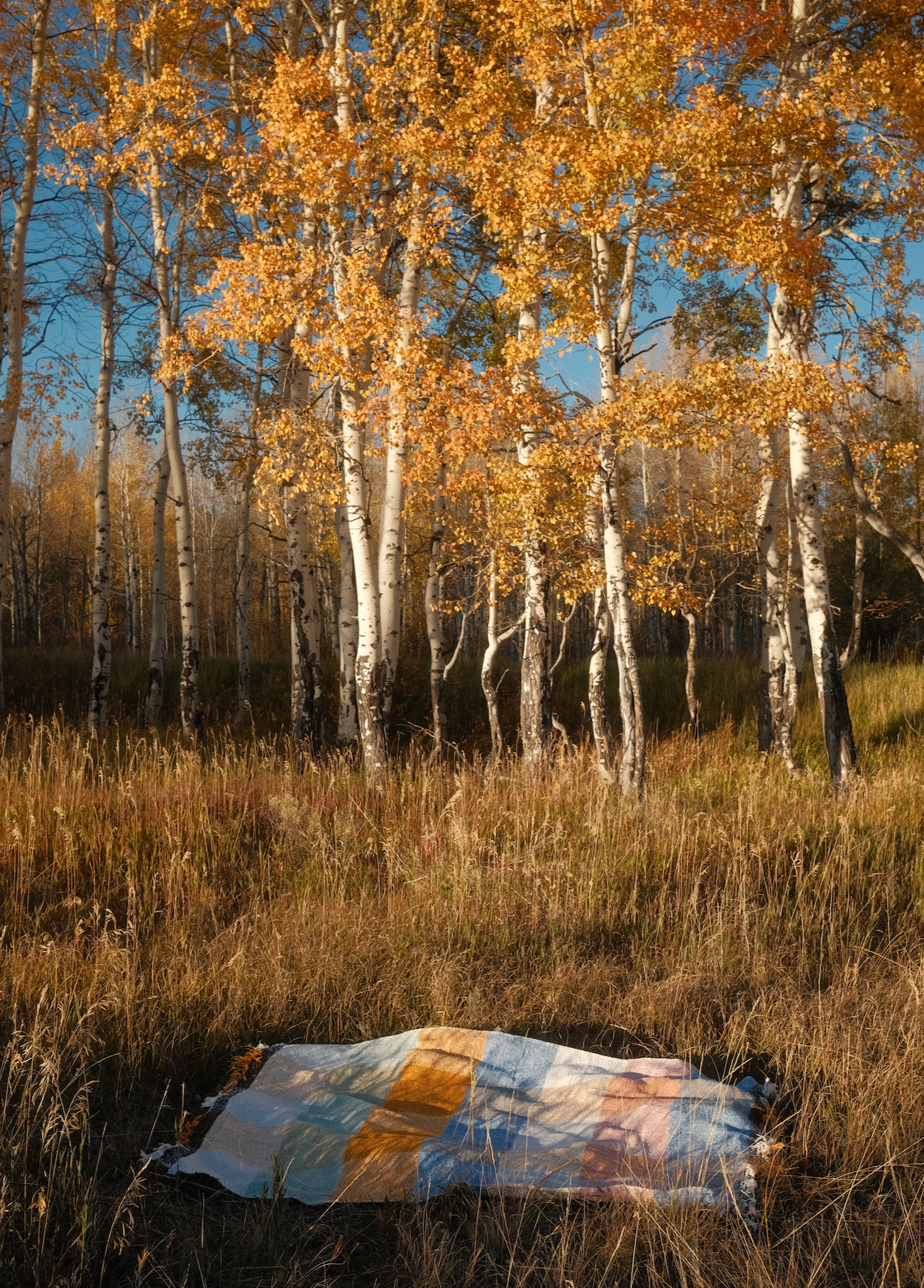 Suave Campo Blanket Roll