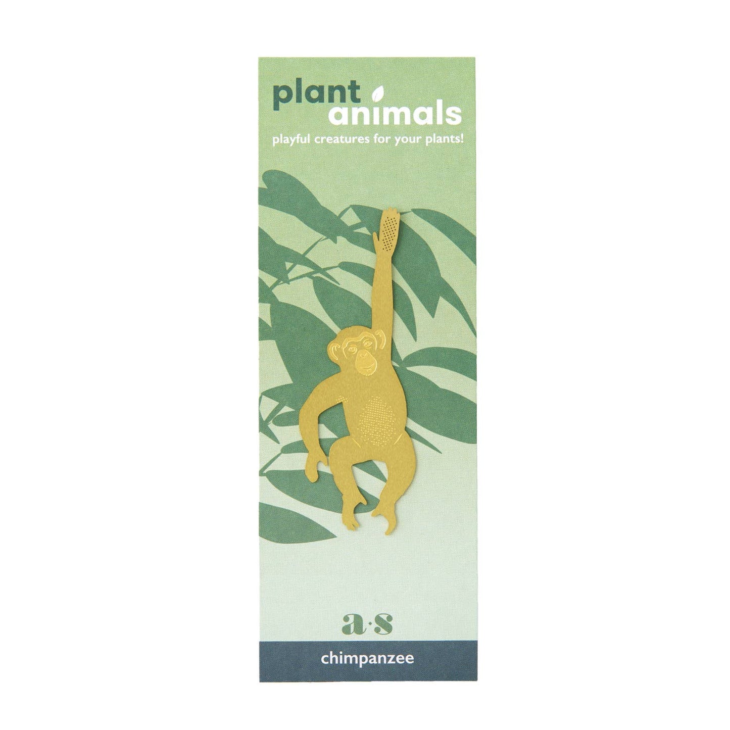 Plant Animal | Chimpanzee