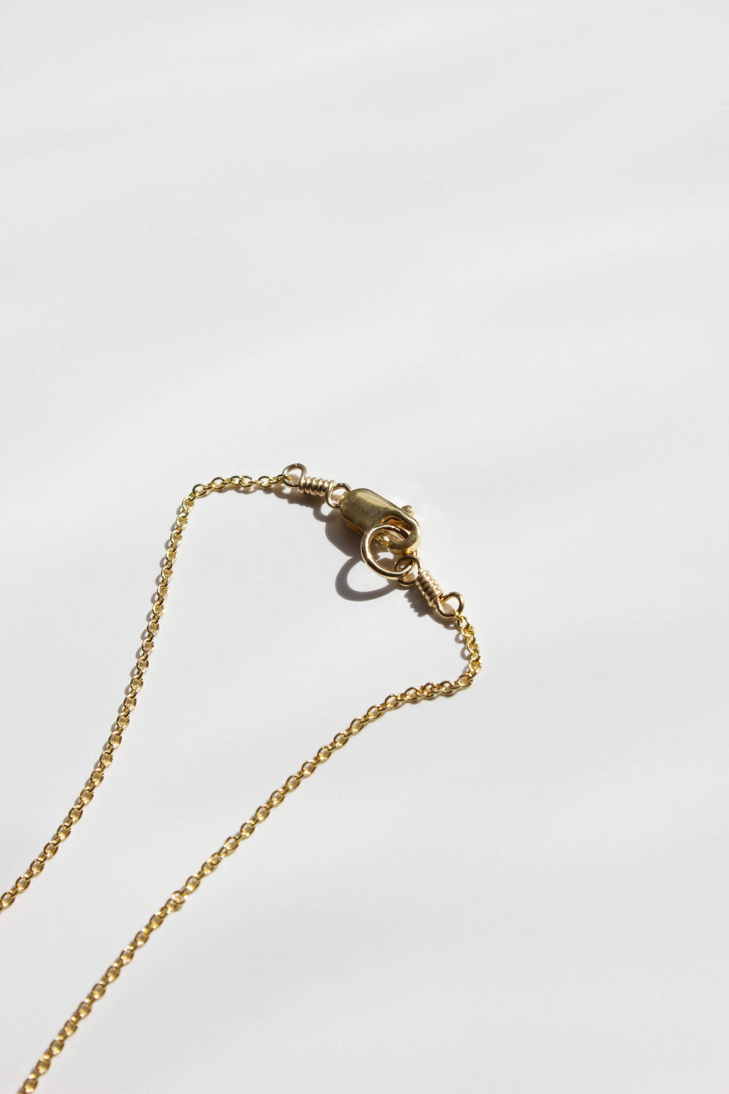 Strawberry Pendant Necklace, Layering, Fruit Jewelry, Cute : 14K Gold-Fill 16.5" / Shiny Yellow Bronze