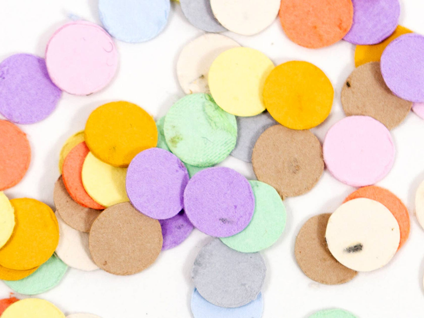 Wildflower Seed Confetti - Rainbow