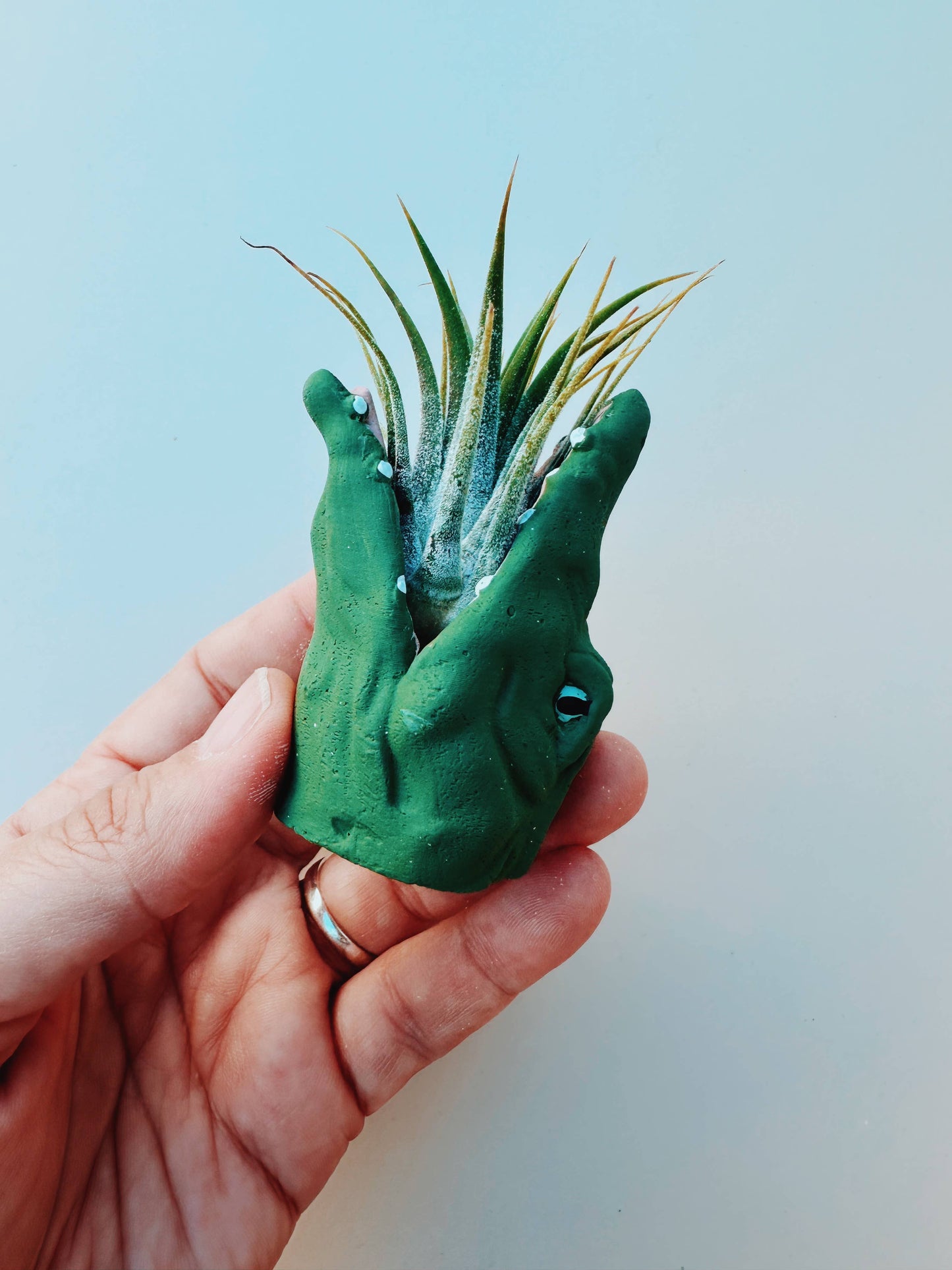 Mini Gator Plant Pot with Air Plant